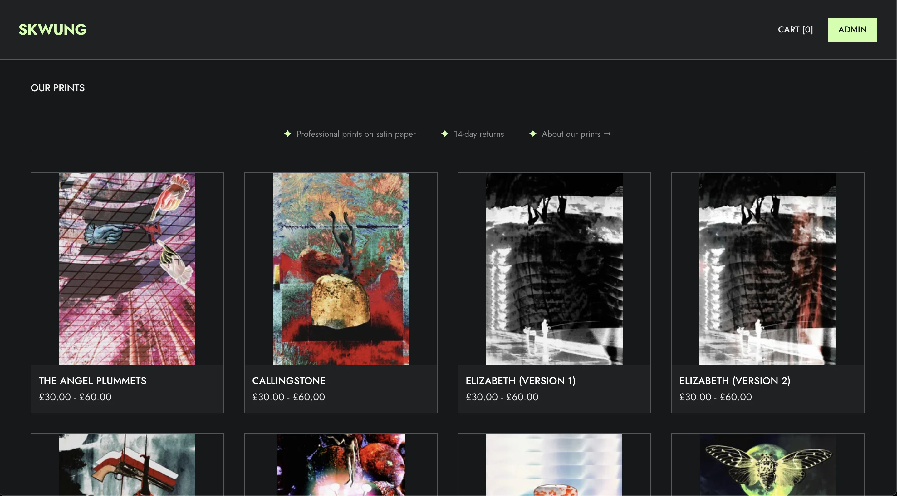 Skwung Webstore e-commerce website screenshot
